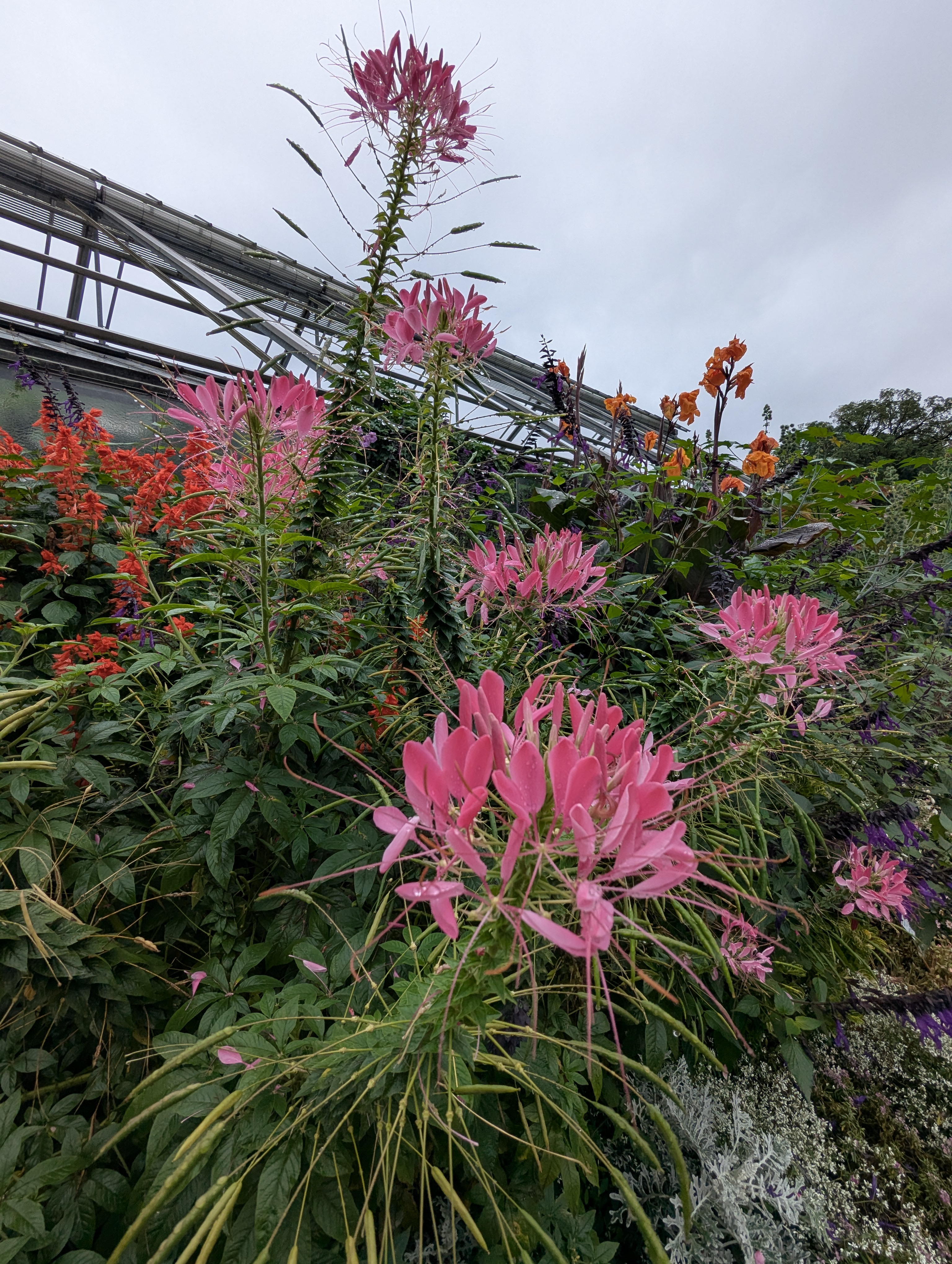 Botonic Gardens, Muenster, Germany